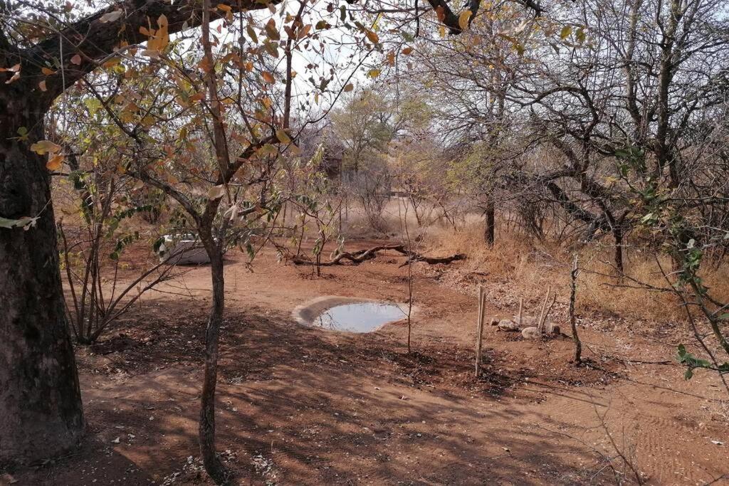 Amukela Kaya Villa Hoedspruit Exterior foto