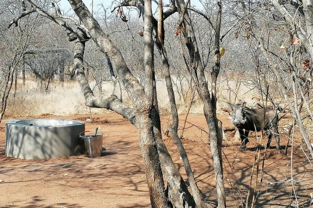 Amukela Kaya Villa Hoedspruit Exterior foto